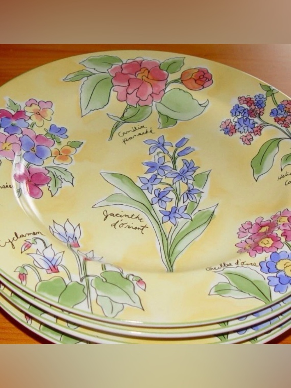 3 Sakura Crème Brûlée Salad/Dessert Plates